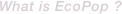 What is EcoPop ? 
